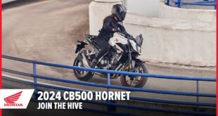 Nuovo CB500 Hornet 2024: Unisciti all'alveare |  Moto da strada |  Honda