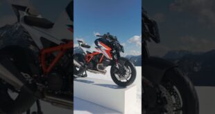 Nessuna parola… Solo LA BESTIA in tutto il suo splendore. 🔥